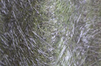 Guildford Park fibreglass roof work